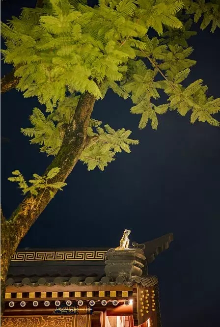 30.webp.jpg 30.webp.jpg