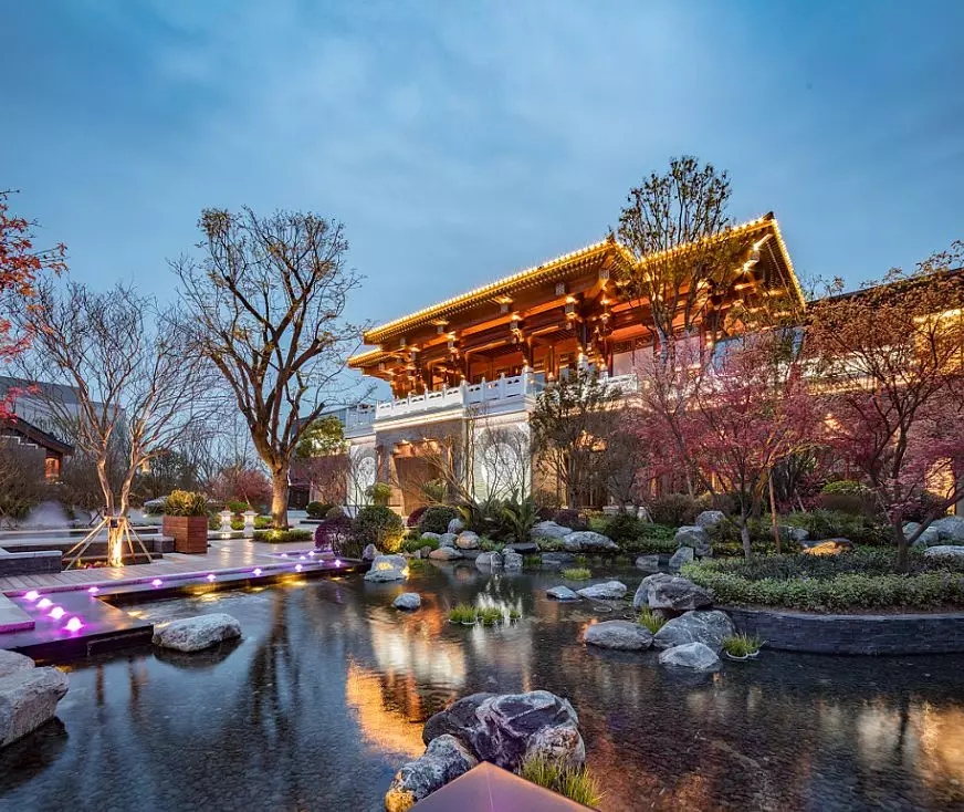 13.webp.jpg 13.webp.jpg